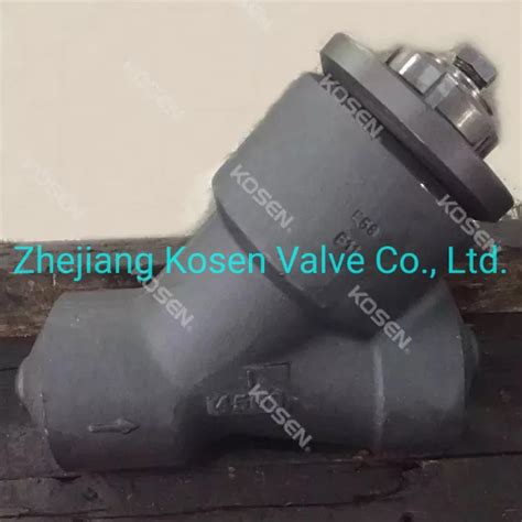 Y Type Forged Steel Piston Check Valve China Y Type Check Valve And