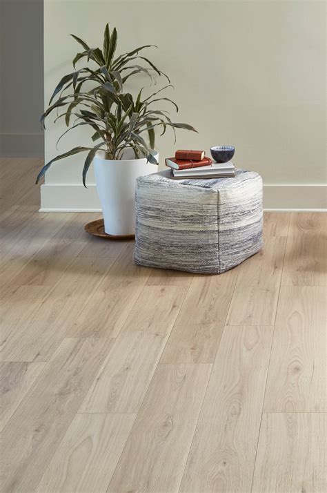 A Living Room With Wooden Flooring And A Plant In The Corner Next To It