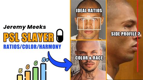 Psl Slayer Ideal Ratios And Harmony Jeremy Meeks Rating Blackpill