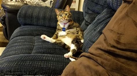 I Sit Like Hooman 9gag