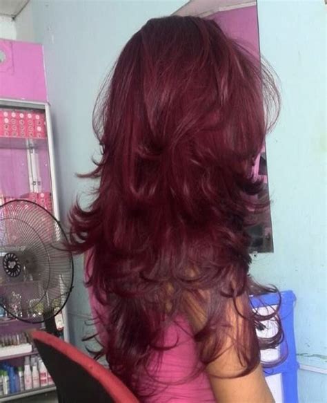 Pin By Dolly On Hairstyles In Dyed Hair Red Hair Inspo Wine Hair