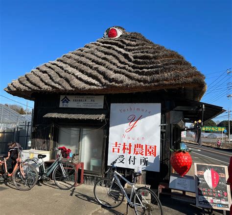 冬旅したくなる栃木の見どころ5選！イルミや温泉を満喫する冬の女子旅へ 女子旅プレス