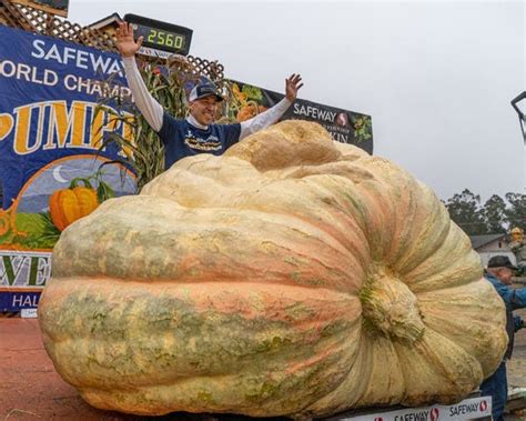 Oct Safeway World Championship Pumpkin Weigh Off Half Moon