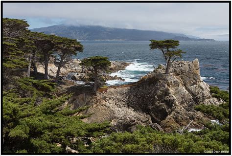 Lone Cypress Del Monte Forest California 03 JUL 2018 Th Flickr