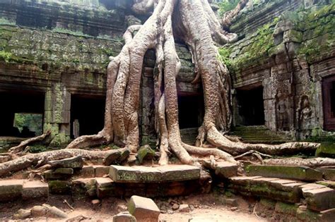 Ta Prohm Savršen spoj prirode i drevne arhitekture Kambodža