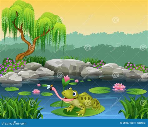 Frog Catching Fly Vector Illustration Cartoondealer