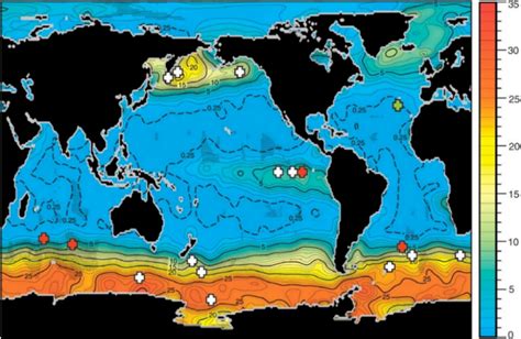 Is ocean iron fertilization back from the dead as a CO₂ removal tool?