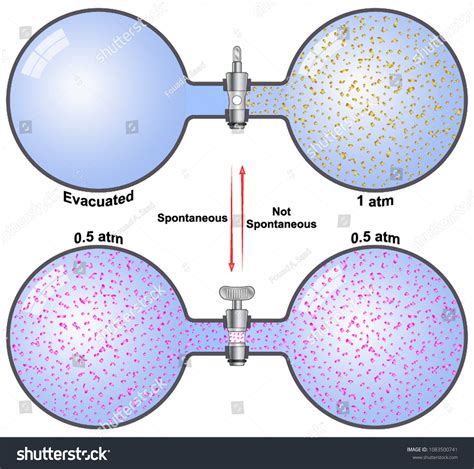 spontaneous processes images stock  vectors shutterstock