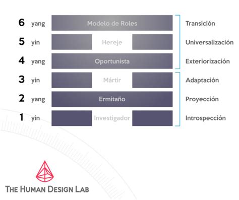 Dise O Humano The Human Design Lab