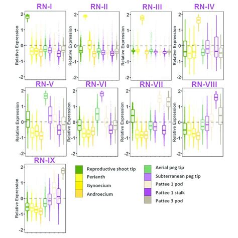 Reproductive Gene Networks Rn Relative Expression Is Z Score Download Scientific Diagram