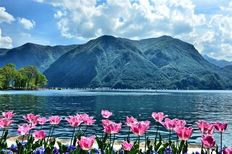 Sailboat Regatta On Lake Lugano In Lugano Switzerland Encircle Photos