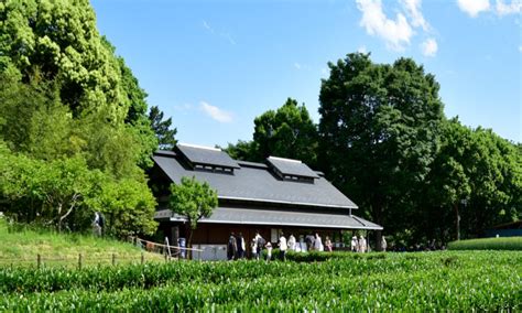 こもれびの里 国営昭和記念公園公式ホームページ