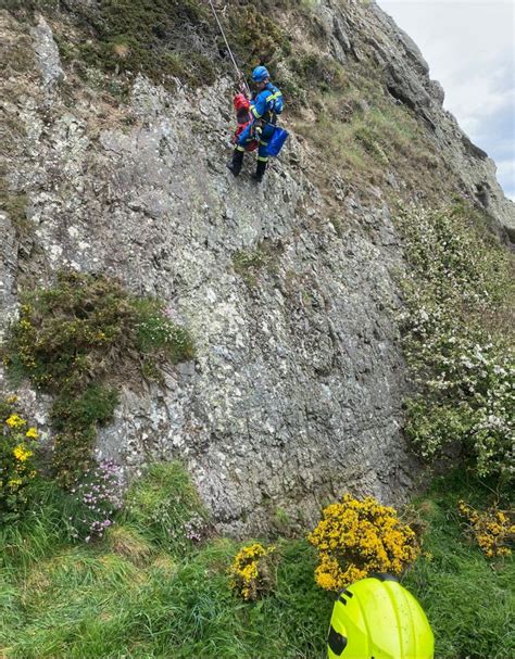 Dog Rescued After Falling Over Cliff Edge At Cullen Bbc News