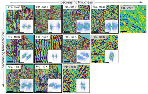 Magnetic Force Microscopy Images Recorded On Samples Of Different