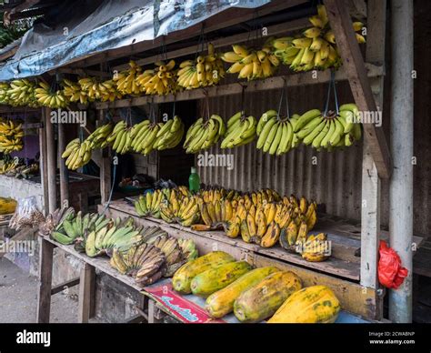 Ambon Island, Indonesia - February 11, 2018: Different kinds of bananas ...