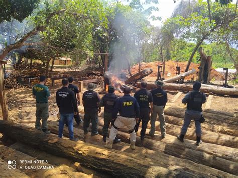 Pf Deflagra Novas Operações Contra Crimes Ambientais No Maranhão