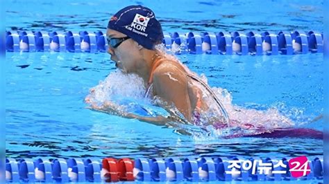 김서영 세계선수권 개인혼영 200m 6위호스주 4연패