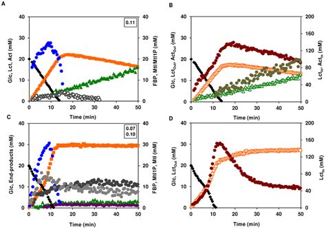 Effect Of Oxygen Limitation On Glucose Metabolism In Aerobically Grown