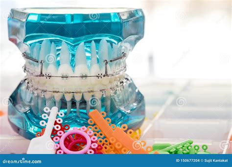 Cierre Encima De Las Herramientas Del Dentista Y Del Modelo Ortod Ntico