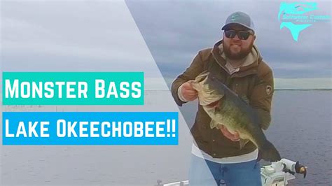 Monster Bass On Lake Okeechobee Youtube