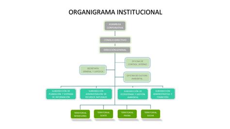 Organigrama Corpoboyac