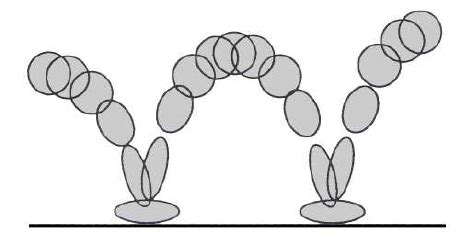 MacGillivray’s bouncing ball | Download Scientific Diagram