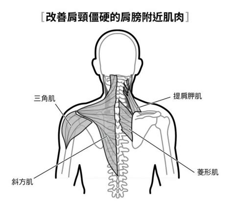 簡單的深呼吸就能改善肩頸僵硬、腰痛 重點在呼吸搭配這4個關鍵肌肉訓練 運動星球 Sportsplanetmag