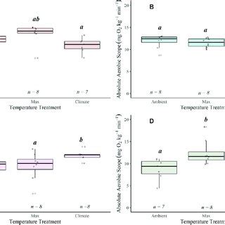 Boxplots Displaying Absolute Aerobic Scope Aas Mmr Smr For