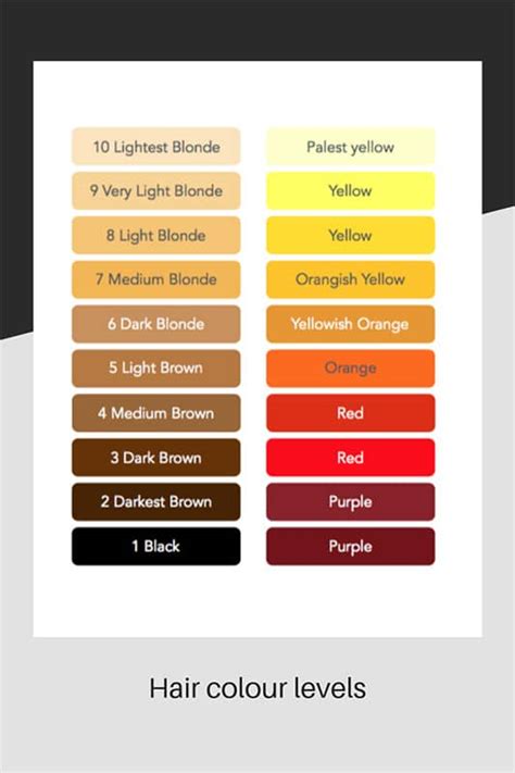 Hair Highlights Color Chart