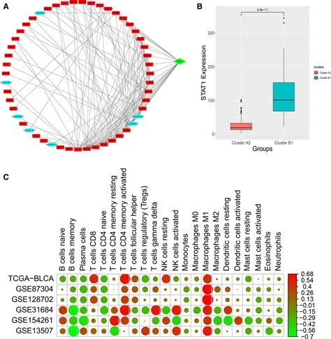 Hub Gene Analysis A Hub Gene Analysis And Visualization B Hub Gene