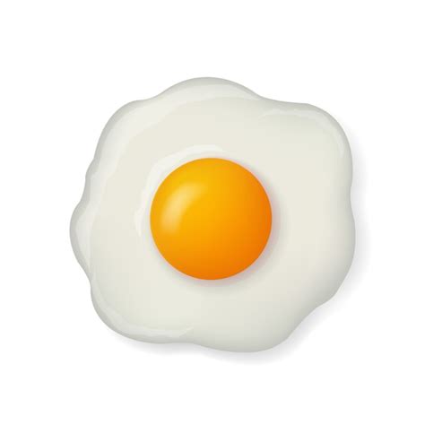 Premium Vector Fried Egg On White Background