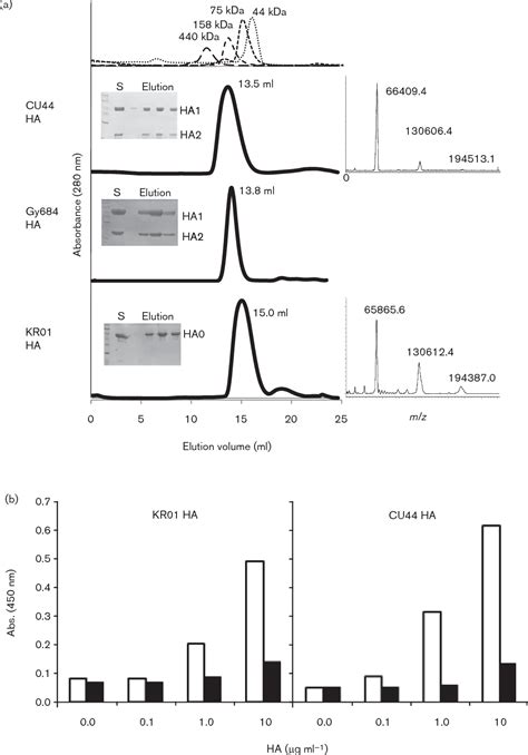 Figure 1 From Insight Into Structural Diversity Of Influenza Virus