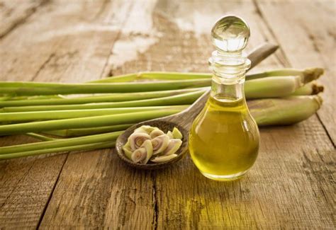 The Diverse Power Of Lemongrass Within The Perfume Industry