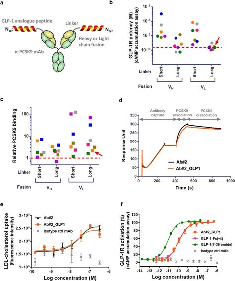 Dual Activity Of Glp 1 Receptor Agonist Peptide And Anti Pcsk9 Antibody