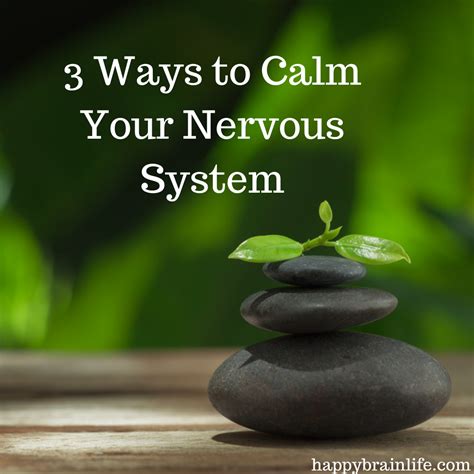 3 Ways To Calm Your Nervous System Happy Brain Life