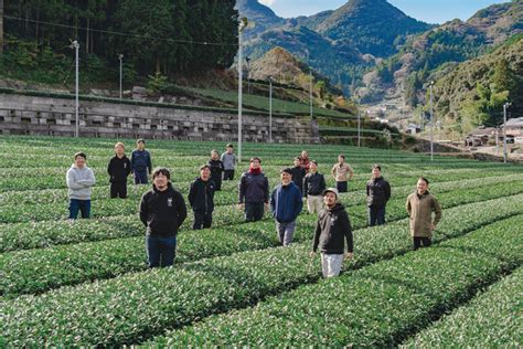 嬉野の若手茶農家16人が届けるお茶を楽しむ新たなかたち「グリーンレタープロジェクト」のポップアップ開催！ 公益財団法人佐賀県産業振興機構