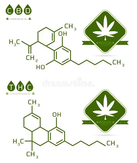 Thc And Cbd Of Cannabis Molecule Formula Vector Illustration Stock