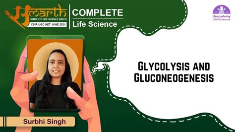 Glycolysis And Gluconeogenesis Csir Life Science June Samarth