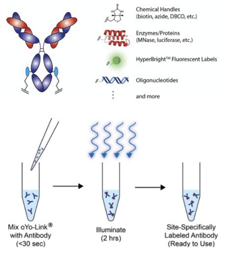 How It Works Alphathera