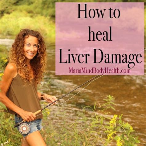 How To Heal Liver Damage Maria Mind Body Health