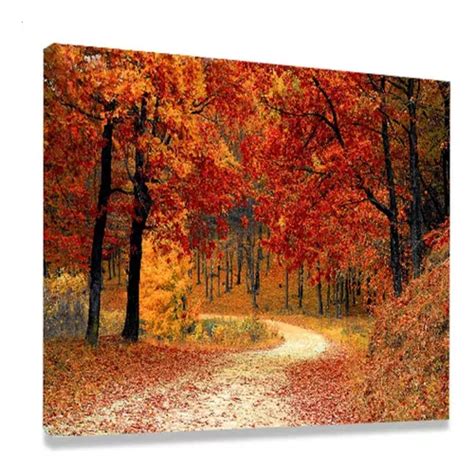 Cuadro Decorativo Ecodecor Quadro De Parede Bosque Outono Para