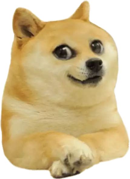 Transparent Doge (Baby) Blank Template - Imgflip