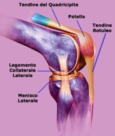 Dolore Al Ginocchio Sintomi E Cura