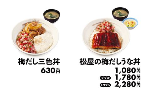 夏にぴったりの爽やかさっぱりだし「梅だし三色丼」「松屋の梅だしうな丼」新発売｜松屋フーズ