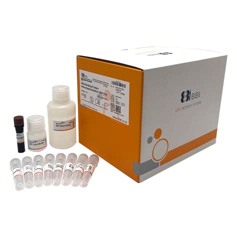 Rna 结合蛋白免疫沉淀（rip）试剂盒rna Binding Protein Immunoprecipitation Rip Kit