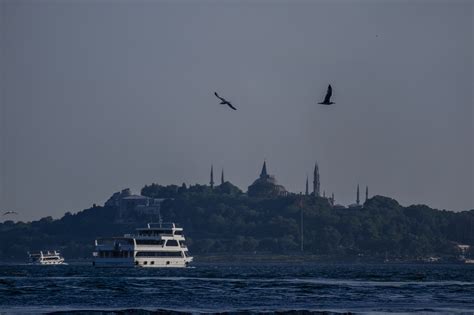 Turkey Sea Of Marmara Istanbul - Free photo on Pixabay - Pixabay