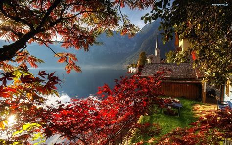 Domy Jezioro Hallstattersee Góry Hallstatt Austria Drzewa Jesień