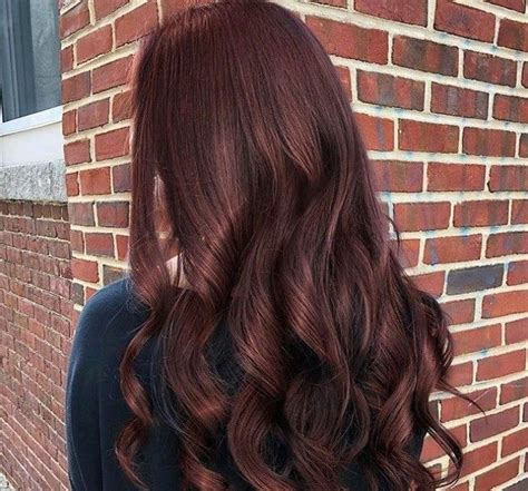 Red Brown Hair Dye Colors At Iris Ayers Blog