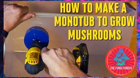 Diy How To Make Hepa Monotub To Grow Mushrooms Youtube