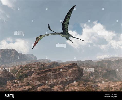 Pterosaur Quetzalcoatlus above a rocky landscape Stock Photo - Alamy